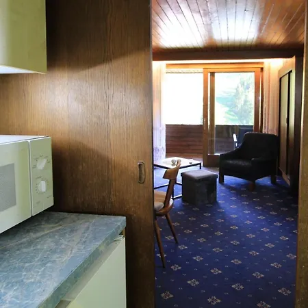 Apartman Ski-to-door Kaiserburg *