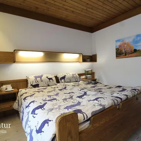 Appartement Ski-to-door Kaiserburg Bad Kleinkirchheim