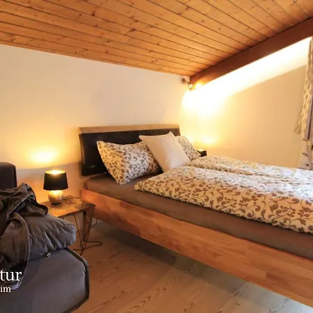 Ski-to-door Kaiserburg Apartman *
